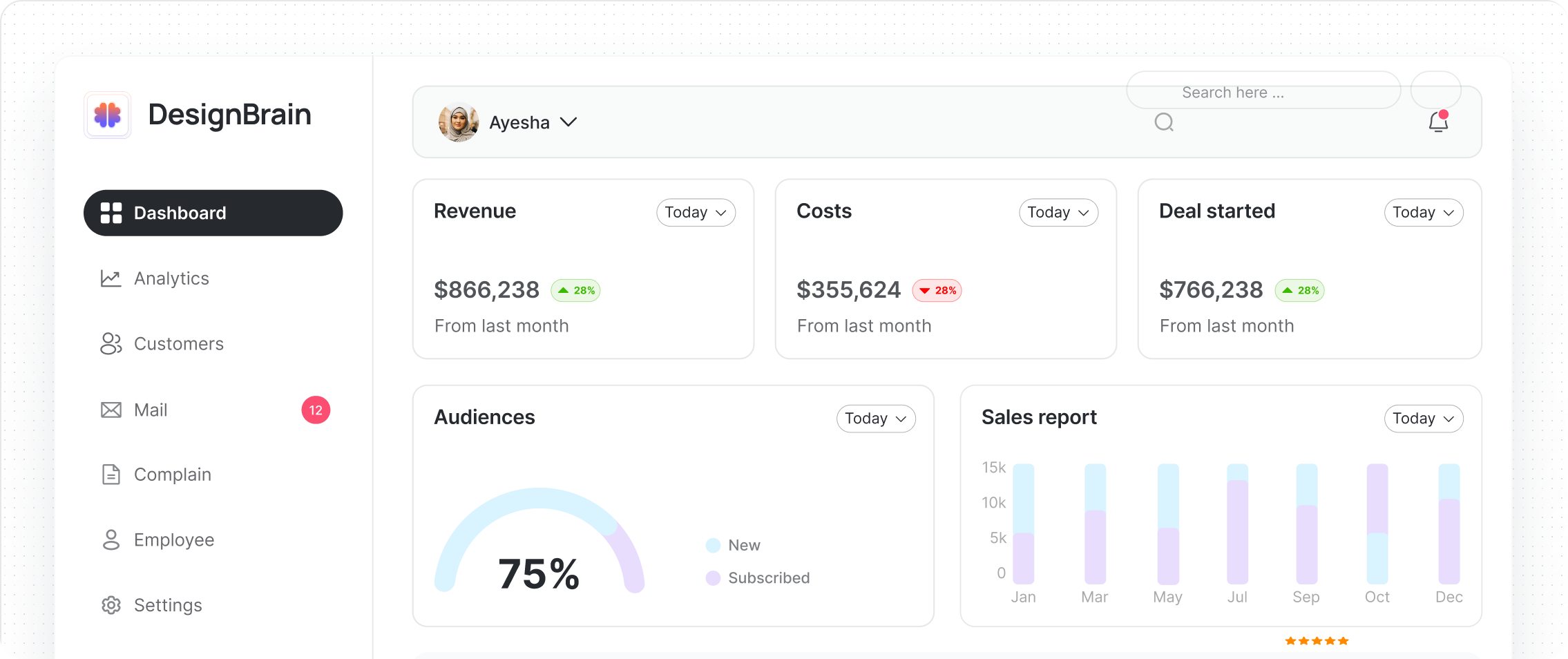 Interface DesignBrain : tableau de bord avec revenus, audiences et navigation latérale